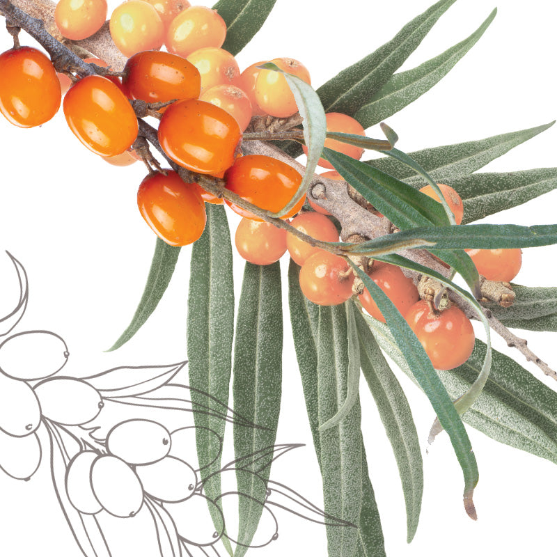 Rika Skincare – Where Science Meets Nature